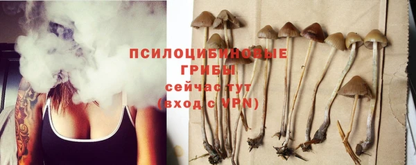 мяу мяу мука Беломорск