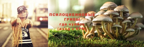 мяу мяу мука Беломорск