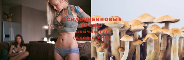 ECSTASY Белоозёрский