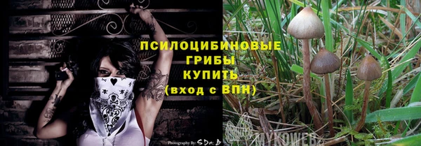скорость Белокуриха