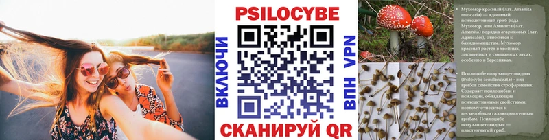 Псилоцибиновые грибы Magic Shrooms  даркнет сайт  Котельнич 